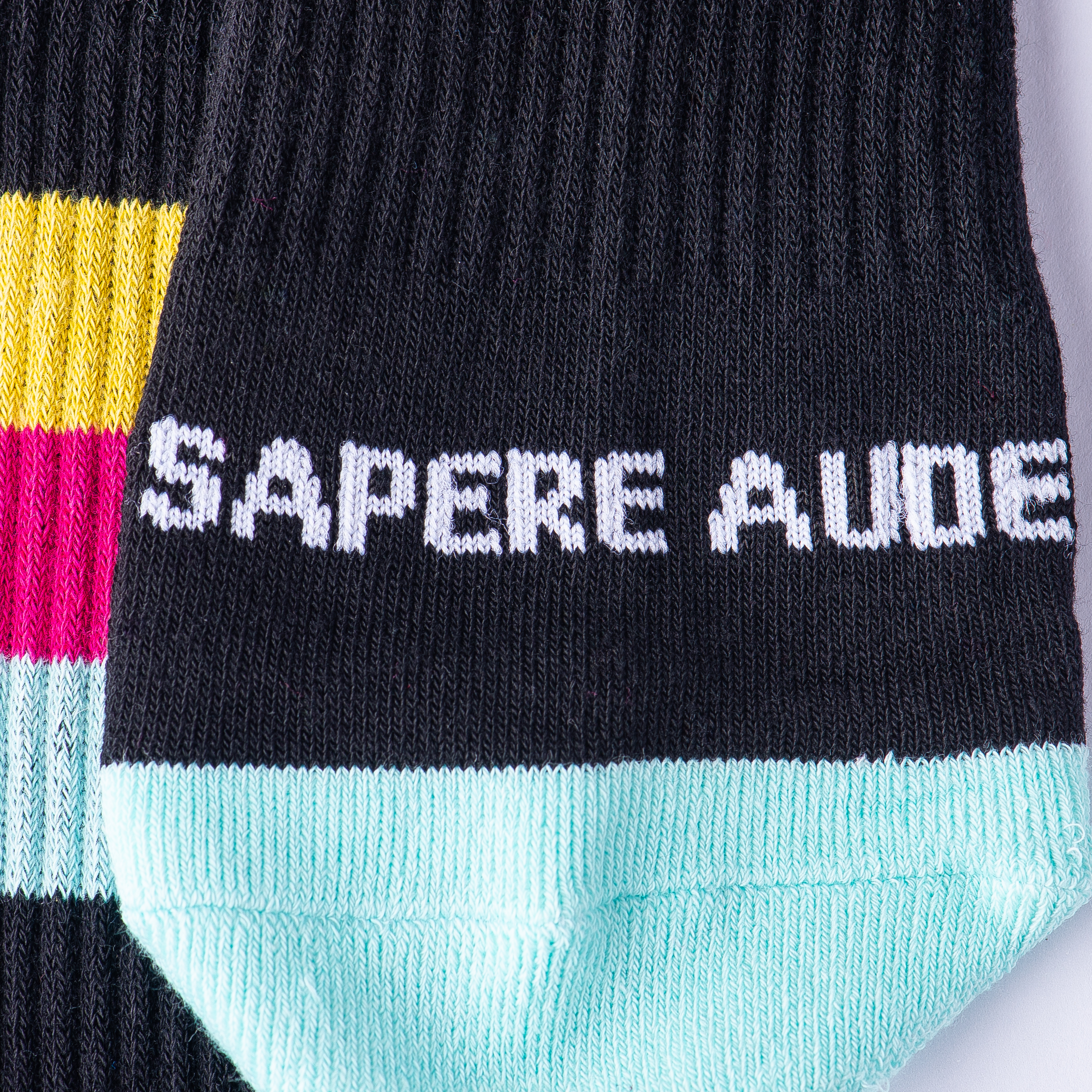SAPERE AUDE 2
